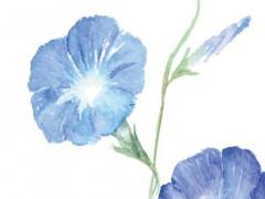 周易之周是什么意思 周易的周指什么