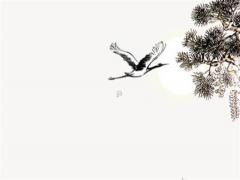 2004年屬猴人2024年運勢 80年屬猴43歲有一災