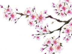 請問鼠和羊匹配嗎 鼠和羊相配嗎結(jié)婚好嗎