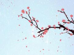 雙魚和射手閨蜜 射手座和雙魚座做閨蜜配不配