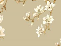 怎么看自己是什么命金木水火土,怎么看自己是什么命金木水火土免費測算