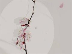 塔羅牌測(cè)試愛(ài)情什么時(shí)候來(lái) 塔羅測(cè)感情什么時(shí)候有進(jìn)展