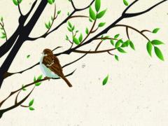 算命的說我婚姻苦是什么意思 算命師傅說婚姻不好是啥意思