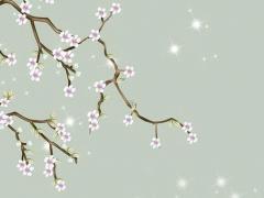 87屬兔女和88屬龍男的竟然是絕配 87男屬兔和88女龍相配