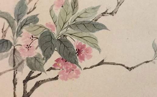 雞翅的好聽的名字 雞翅的好聽的名字