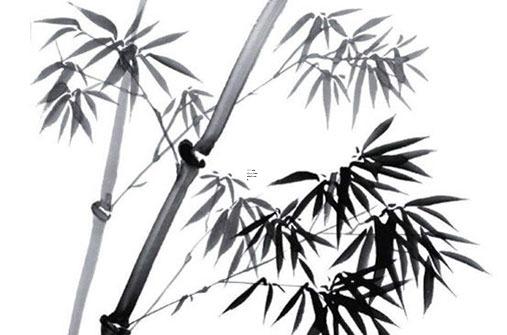 一九七七年屬蛇人今年的婚姻，一九七七年屬蛇的婚配