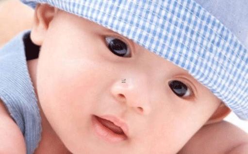 好聽的英文寵物名 好聽的英文寵物名字萌萌噠 好聽的英文寵物名 好聽的英文寵物名字萌萌噠