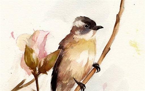 新生仔豬站不起來(lái)后腿八字行 仔豬出生后腿站不起來(lái) 新生仔豬站不起來(lái)后腿八字行 仔豬出生后腿站不起來(lái)