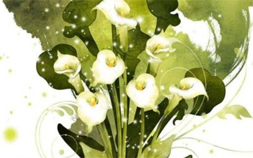 男雞女鼠婚姻相配嗎 男雞女鼠婚姻相配嗎93年 男雞女鼠婚姻相配嗎 男雞女鼠婚姻相配嗎93年