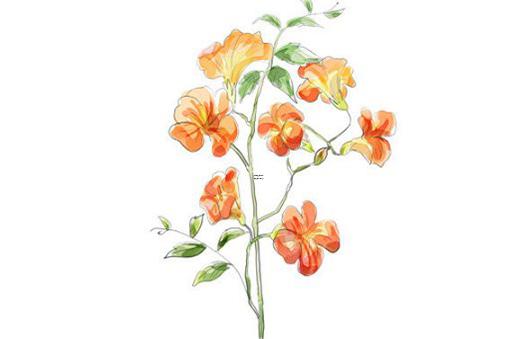 田宅宮化忌,女命田宅宮化忌能得到男人錢 田宅宮化忌,女命田宅宮化忌能得到男人錢