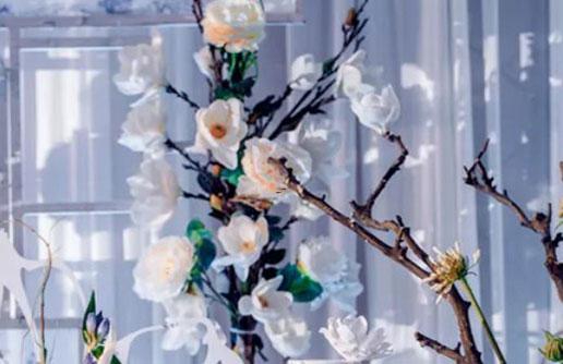 拯救十二星座男友