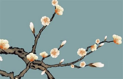 男狗女豬的婚姻相配嗎，94狗95豬2023年結(jié)婚吉日