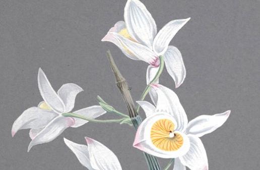 靈棋經免費占卜,靈棋經所有卦和解說 靈棋經免費占卜,靈棋經所有卦和解說