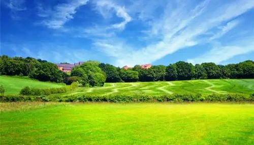 夢見龍追殺是什么意思 夢見龍追殺是什么意思