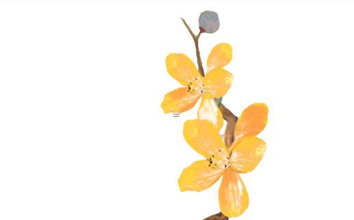 火命的女人旺夫嗎，屬火的行業生意有哪些