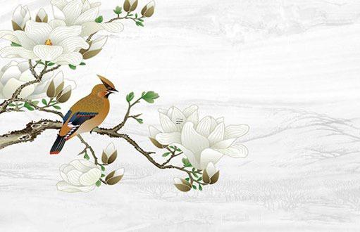 屬虎男跟屬兔女姻緣,屬虎男跟屬兔女感情 屬虎男跟屬兔女姻緣,屬虎男跟屬兔女感情