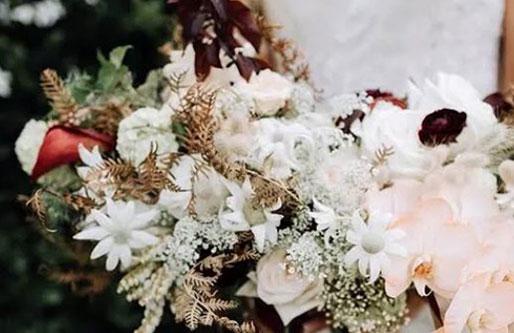 1981年屬雞是什么命第一星座網 1981年屬雞是什么命第一星座網