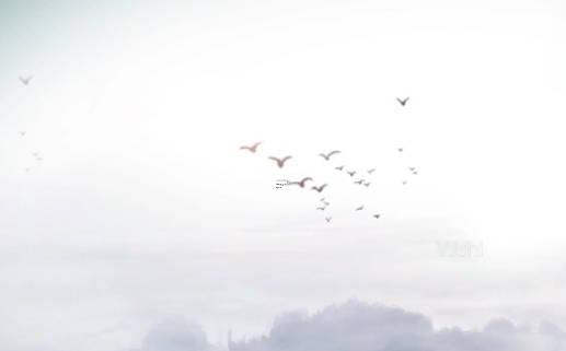 五行八字在線查詢 五行八字查詢起名 五行八字在線查詢 五行八字查詢起名