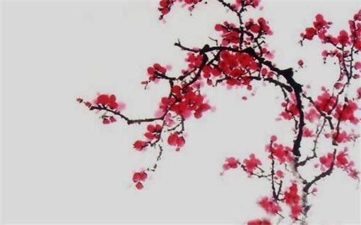 屬豬71年住哪個樓層最好，71年屬豬適合住幾樓