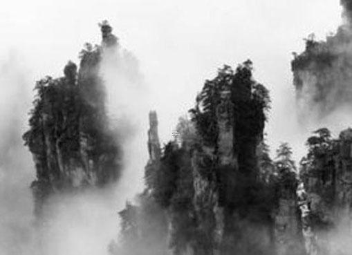 佳在五行中屬什么的 佳字在五行中屬什么屬性 佳在五行中屬什么的 佳字在五行中屬什么屬性