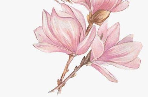 明年本命年適合結婚嗎，明年本命年適合結婚嗎男