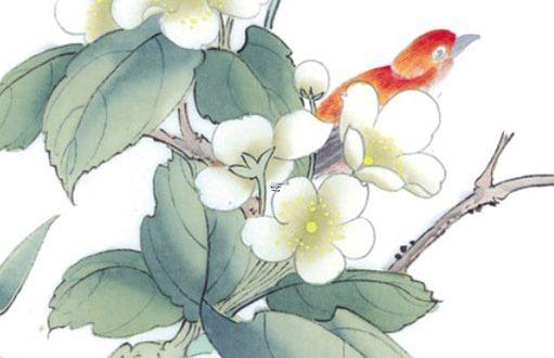 屬蛇的臥室掛什么壁畫好，屬蛇的屋里掛什么畫