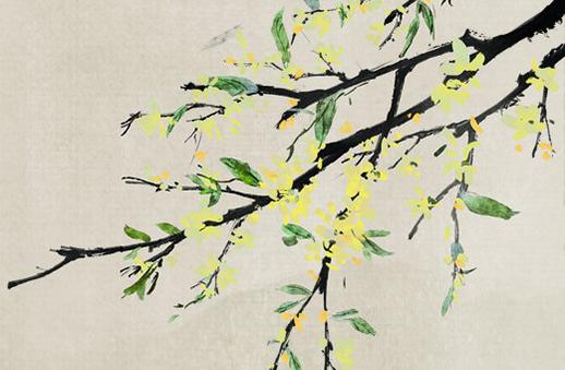 數字28在易經中代表什么意思 周易數字28 數字28在易經中代表什么意思 周易數字28