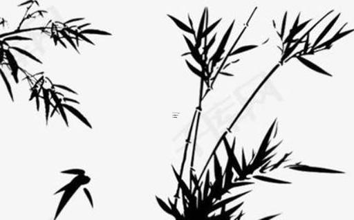 屬兔和屬龍能婚配嗎，屬兔和屬龍的婚姻配嗎