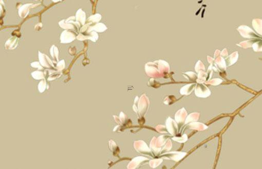 十二生肖虎的來歷100字左右 十二生肖虎的歷史