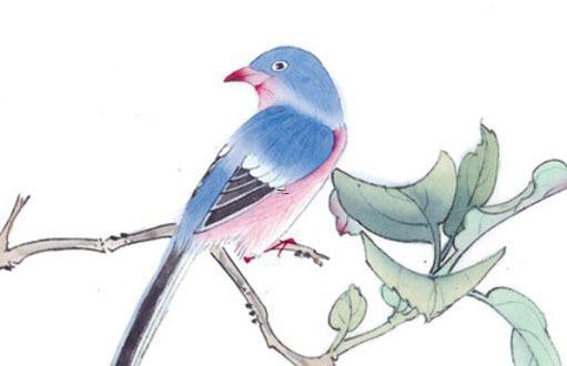 2024年屬雞財(cái)運(yùn)最旺的年份 2024年雞人運(yùn)勢(shì)運(yùn)程