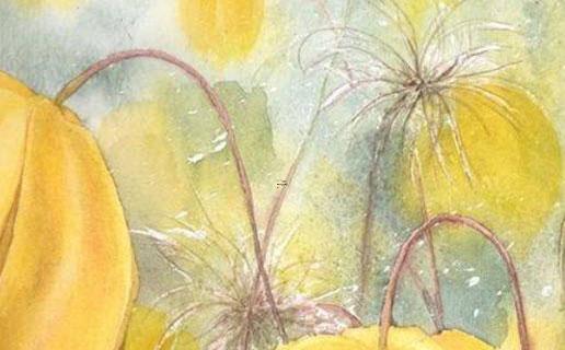 姓名預測學大全 姓名預測準嗎