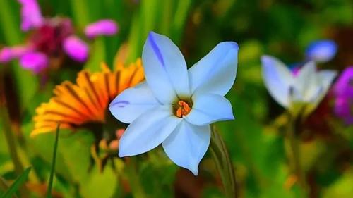 女人夢見自己抱著嬰兒有什么預兆