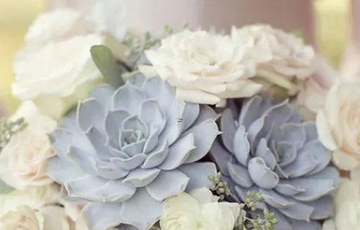 對(duì)巨蟹座來(lái)說(shuō)什么才是真愛(ài)？