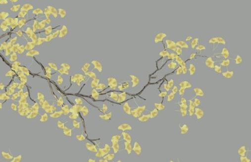 年是什么年2024年屬什么生肖 十兔九苦最命苦的兔幾月出生 年是什么年2024年屬什么生肖 十兔九苦最命苦的兔幾月出生