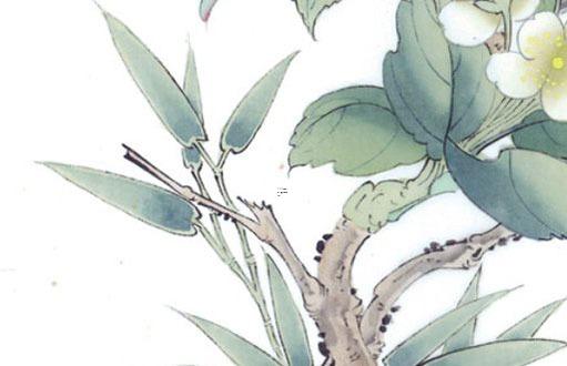 問真八字如何解讀 問真八字貼吧 問真八字如何解讀 問真八字貼吧