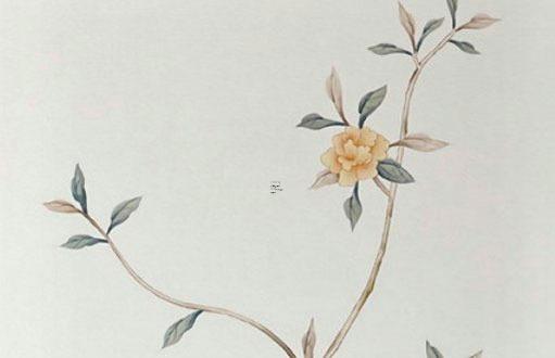 2024年木龍幾月出生最好 2024年木龍命什么季節生最好 2024年木龍幾月出生最好 2024年木龍命什么季節生最好