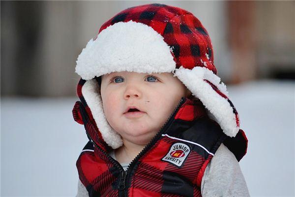 夢見蛇不咬人 夢見蛇不咬人