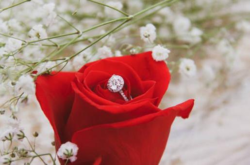 星座算的是陽歷嗎 星座算的是陽歷嗎