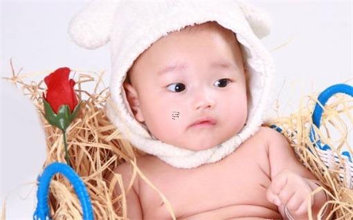 屬豬寶寶如何起名可以避免重名 屬豬的取名應(yīng)該避免什么 屬豬寶寶如何起名可以避免重名 屬豬的取名應(yīng)該避免什么