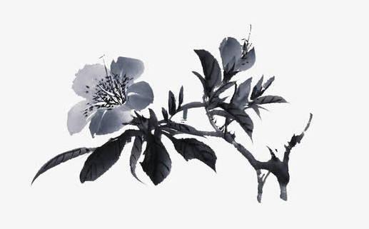 八字四柱全陽女不一般 四柱全陽女婚配