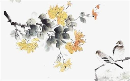 屬兔的和什么屬相最配婚姻 屬兔人一生最克3個(gè)人