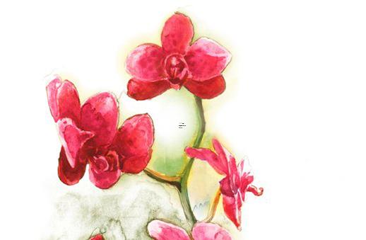 能幫我批一下這個(gè)八字嗎庚申 八字有庚申