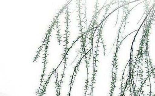 1963年兔2024年運(yùn)勢(shì) 1963年兔2024年運(yùn)勢(shì) 1963年兔2024年運(yùn)勢(shì) 1963年兔2024年運(yùn)勢(shì)