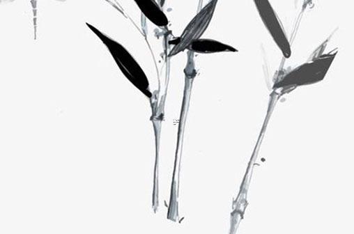 出生日測試精靈性格 生日測試性格特點 出生日測試精靈性格 生日測試性格特點