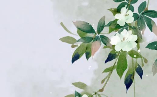 屬兔的和屬龍的婚姻怎么樣 屬兔和屬龍婚姻如何 屬兔的和屬龍的婚姻怎么樣 屬兔和屬龍婚姻如何