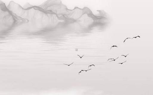 1951年屬兔女心不善 1951年屬兔的人 1951年屬兔女心不善 1951年屬兔的人