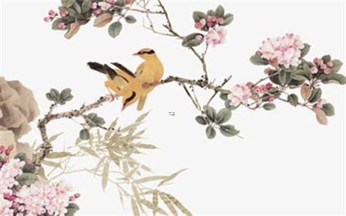 觀音靈簽19,抽簽第19簽是什么意思 觀音靈簽19,抽簽第19簽是什么意思