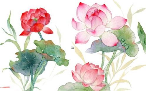 八字分析容易有爛桃花的女命 八字中的爛桃花