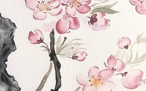 陽歷是指農歷嗎,農歷,陽歷,陰歷怎么區分 陽歷是指農歷嗎,農歷,陽歷,陰歷怎么區分