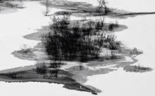 屬蛇戴龍吊墜好嗎 屬蛇帶龍吊墜好嗎 屬蛇戴龍吊墜好嗎 屬蛇帶龍吊墜好嗎